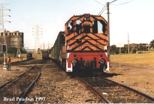 D6, 5910 and Bronzewing (out of sight) near Unanderra with a tour train, August 1997
